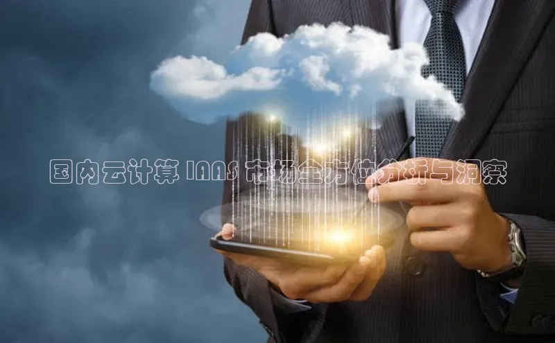 jinnian金年会官方网站入口小红书国内云计算 IAAS 市场全方位分析与洞察