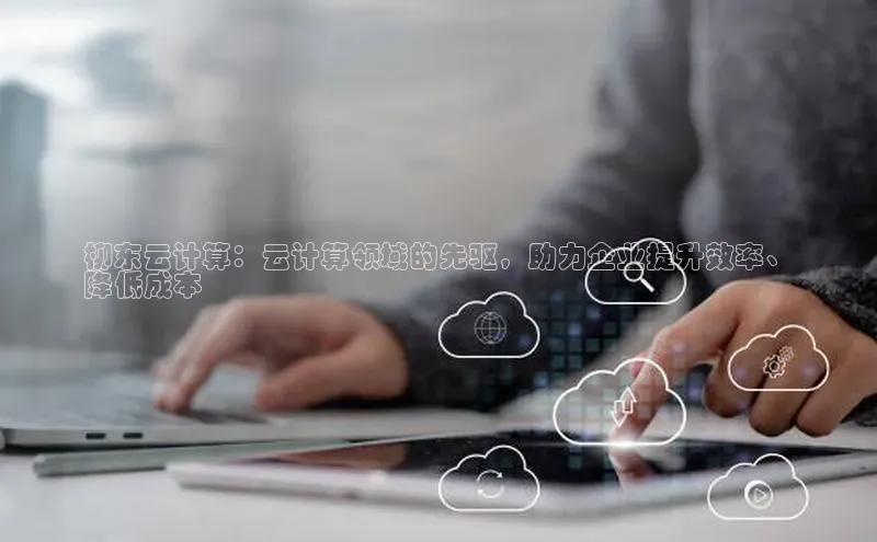jinnian金年会小度商城柳东云计算：云计算领域的先驱，助力企业提升效率、
降低成本