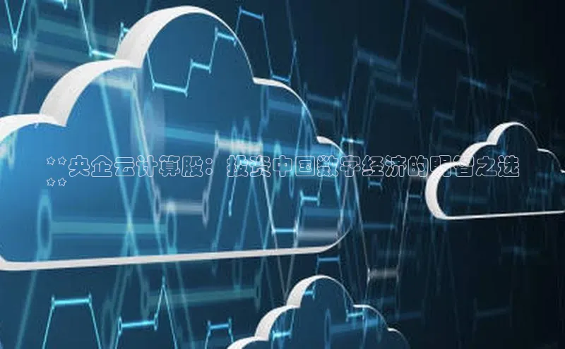金年会官方网站入口中海达**央企云计算股：投资中国数字经济的明智之选
**
