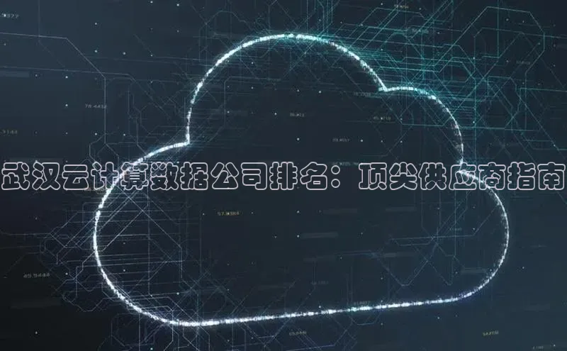 金年汇金字招牌信誉至上最新天键股份武汉云计算数据公司排名：顶尖供应商指南