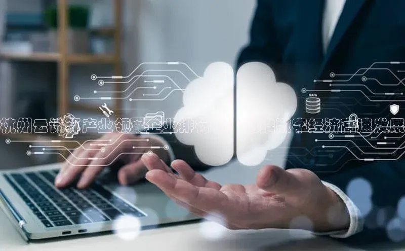 金年会·会官方入口登录彩讯股份杭州云计算产业领军企业排行榜：助推数字经济高速发展