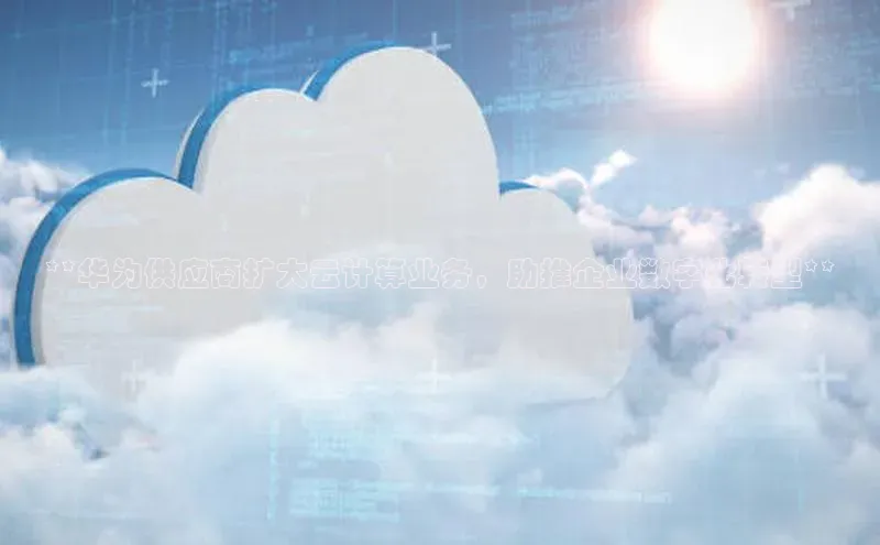 金年会电子游戏app华扬联众**华为供应商扩大云计算业务，助推企业数字化转型**