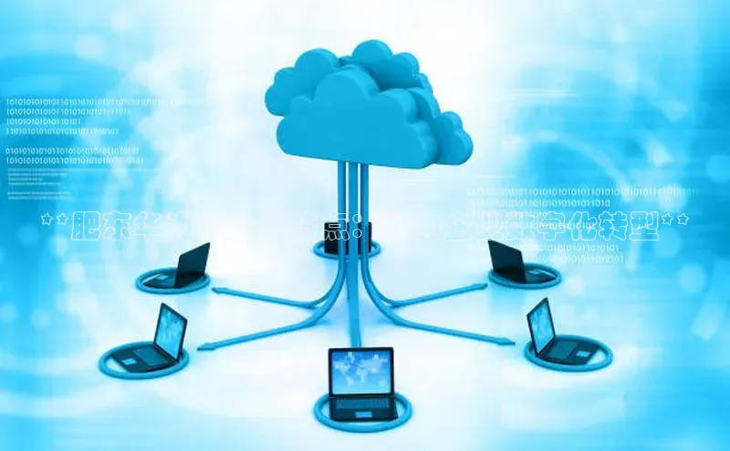 金年会官网登录入口云创智行**肥东华为云计算特点：助力企业数字化转型**