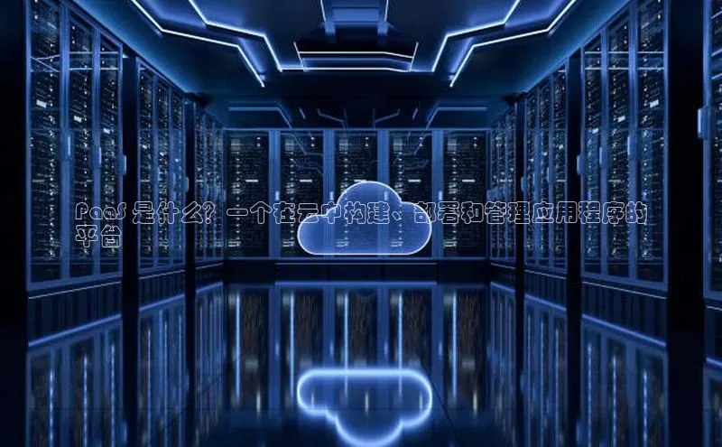 jinnian金年会登录入口挪威主权基金PaaS 是什么？一个在云中构建、部署和管理应用程序的
平台