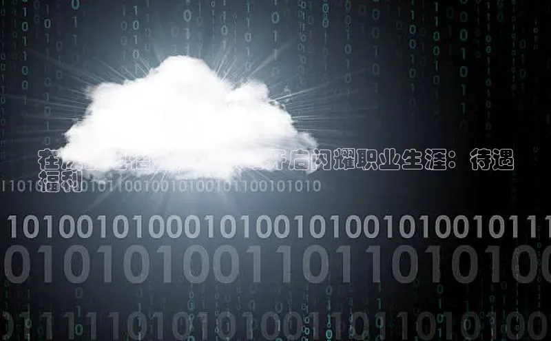 金年会网站入口视觉中国在成都电信云计算领域开启闪耀职业生涯：待遇
福利