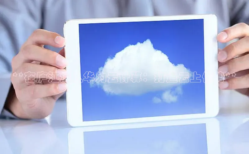 金年会 金字招牌诚信至上百度教育**在庐江深入华为云计算：打造云上优势**