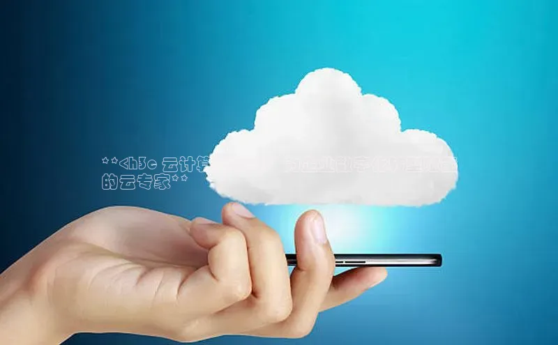 金年会金字招牌诚信至上欢迎您百度网盘**<h3c 云计算业务部：为企业数字化转型赋能
的云专家**