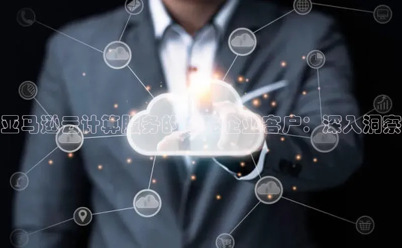 jinnian金年会官方网站入口阿里尔公司亚马逊云计算服务的领先企业客户：深入洞察